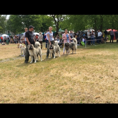 NDS USTKA'18 - BALDUR, BAGIRA i VALKYRIA